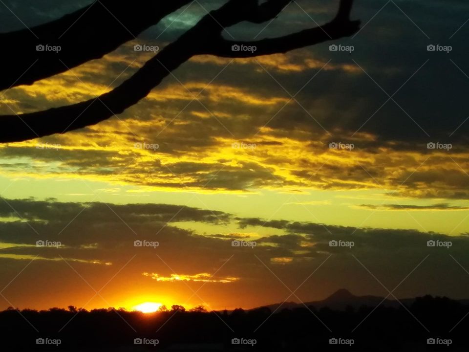 spectacular sunset with tree branch in foreground