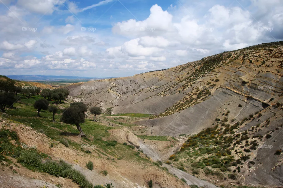 Vallée