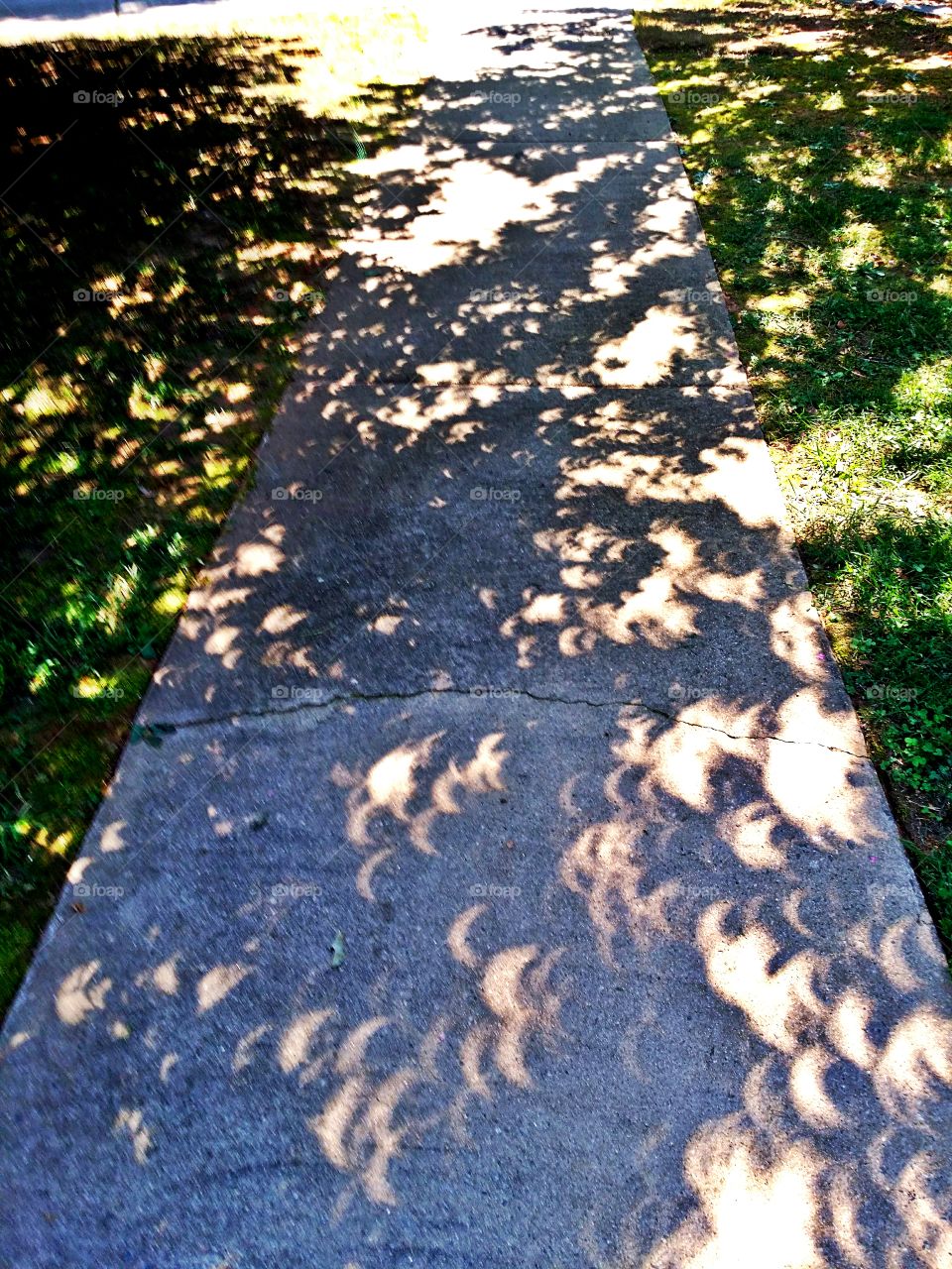 Eclipse in shadow
