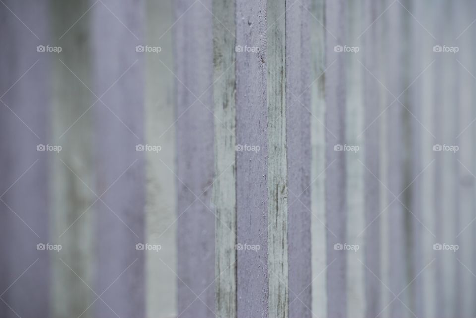 White picked fence