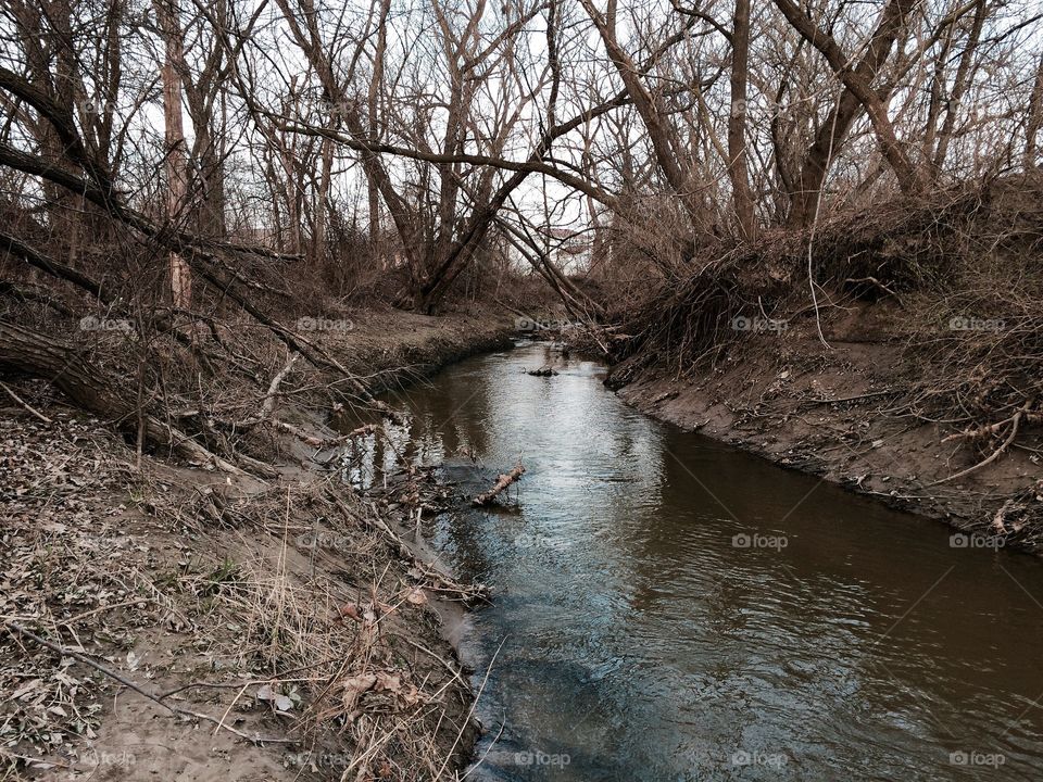 Fellows Creek in Canton Michigan. Shot shortly after Spring arrived. 