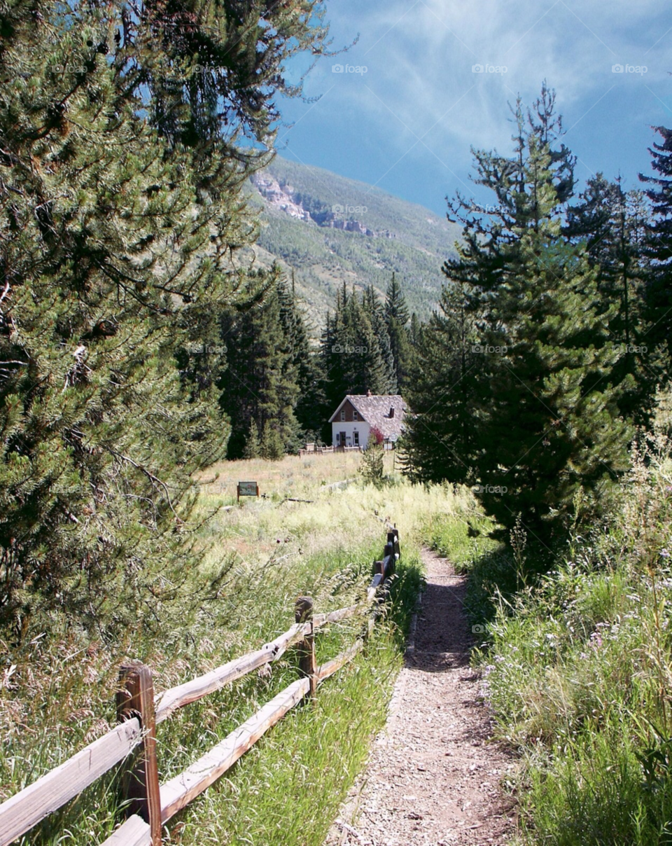 summer mountain path cabin by landon
