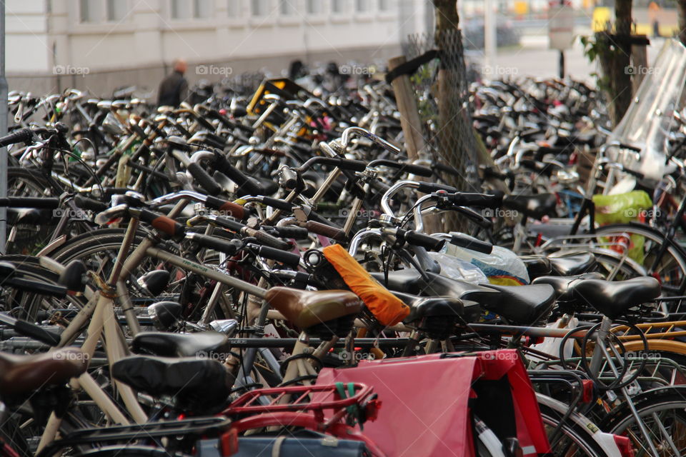 bicycles in Amsterdam