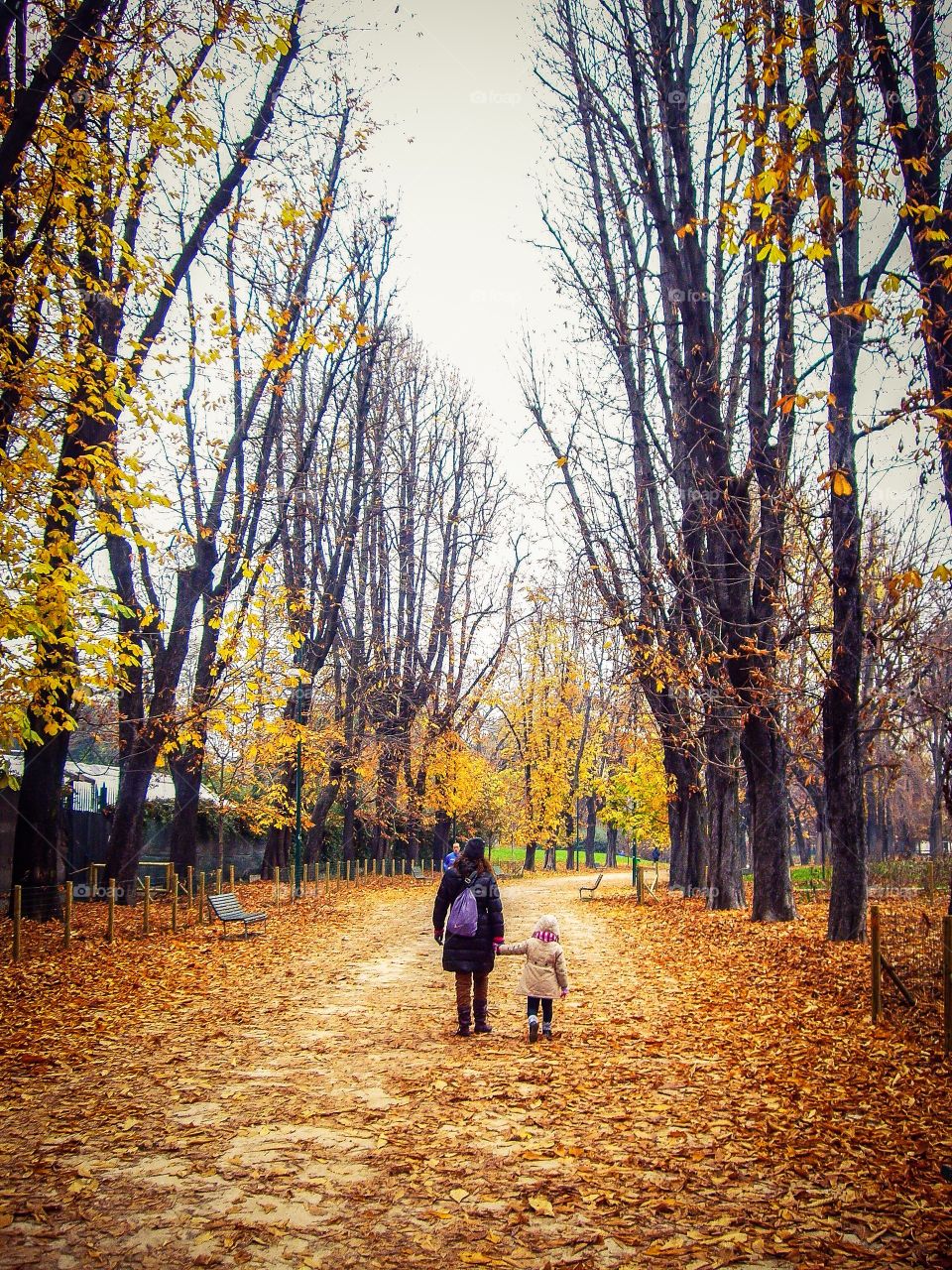 Women walking on footpath during aututmn