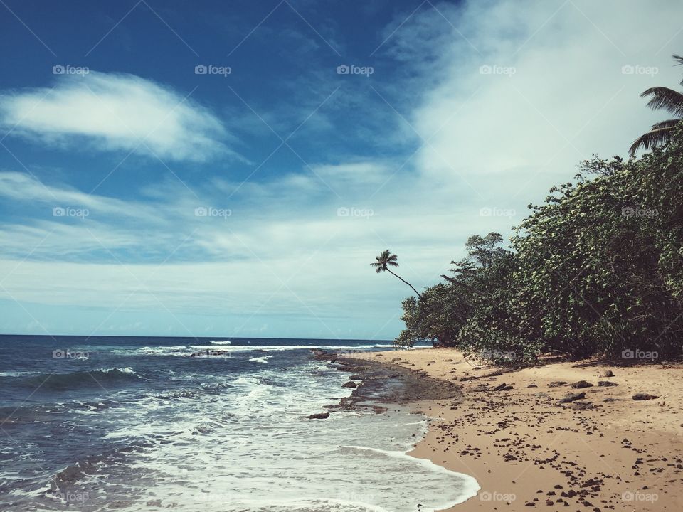 Vintage coast