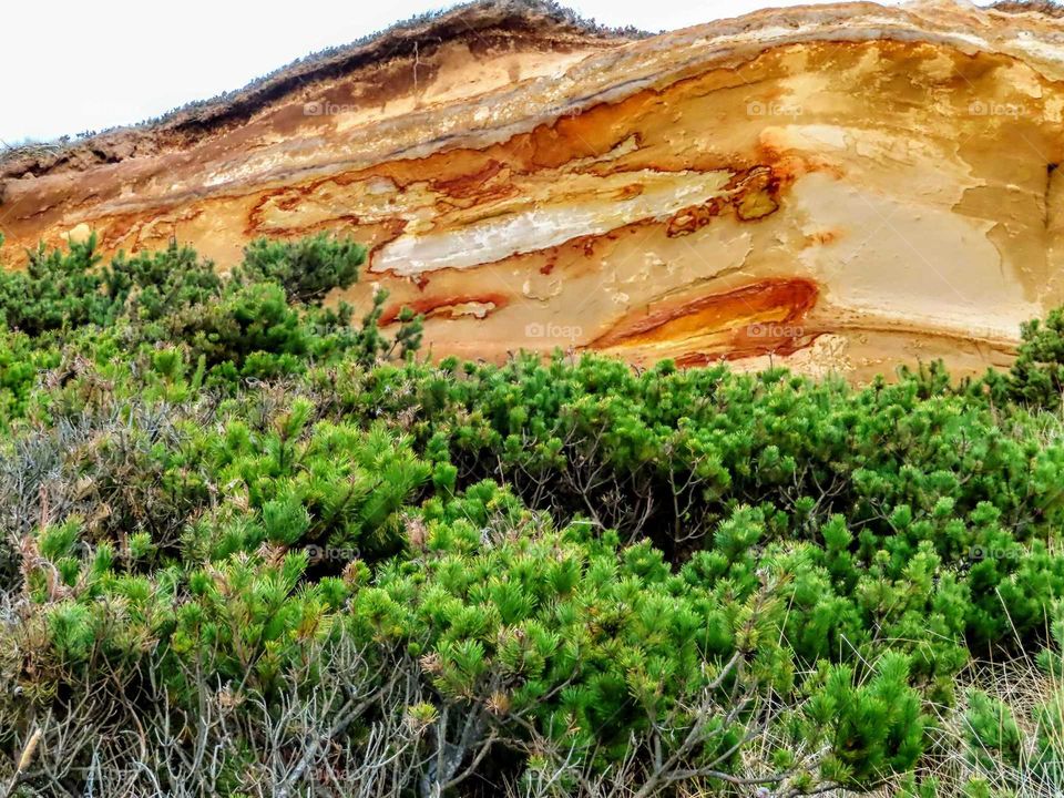 Colorful Rock Cliff "Pride Rock"