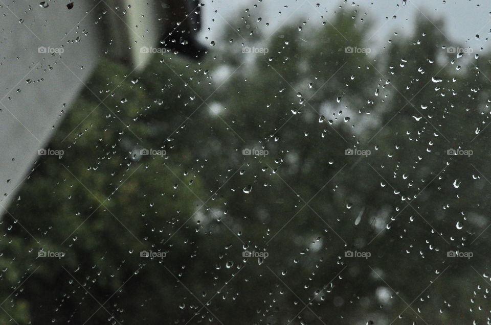 Rainy day... macro - bokeh