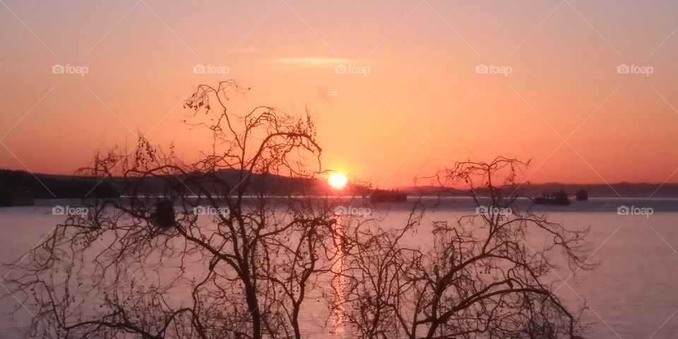 Sunsets out my window