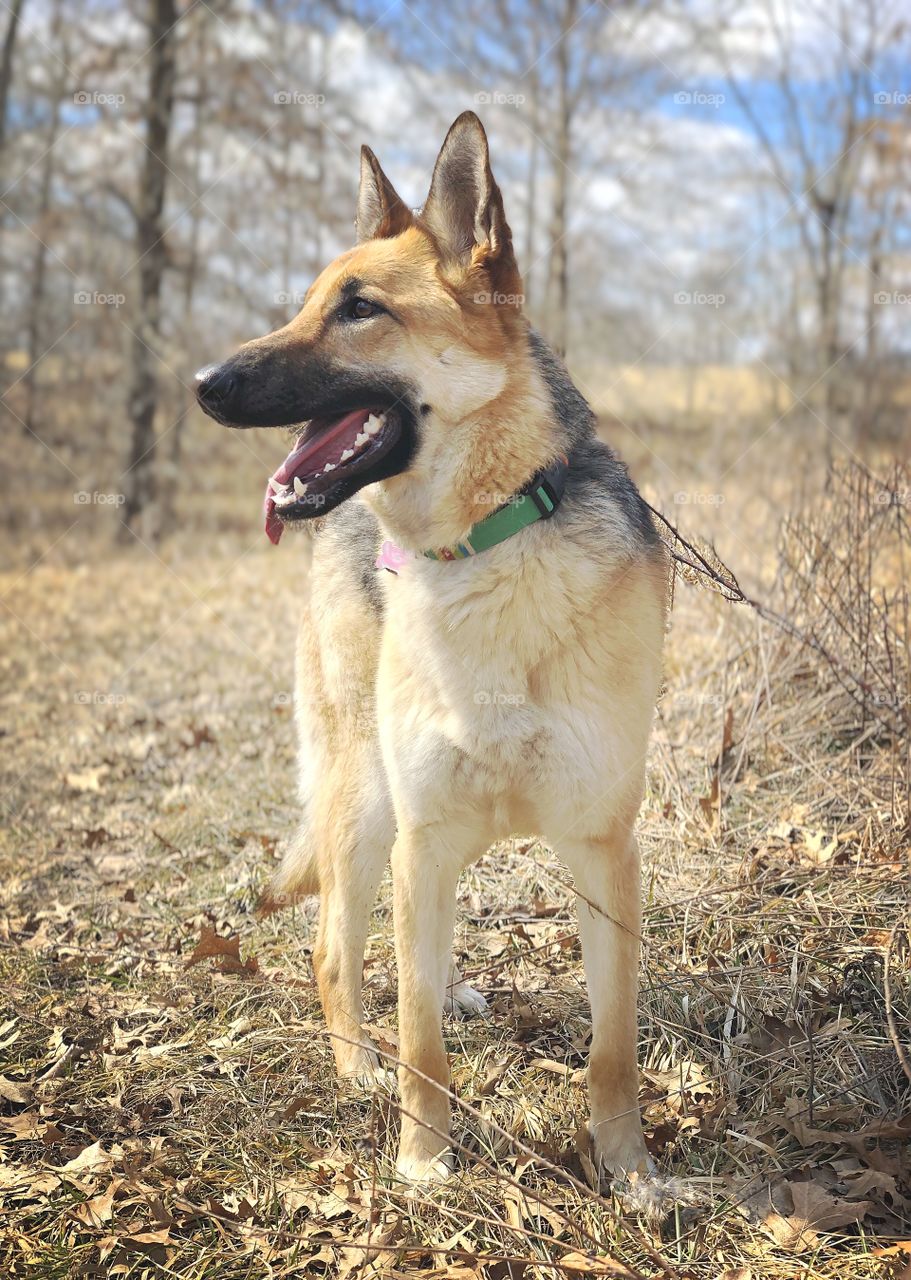 Early spring adventures