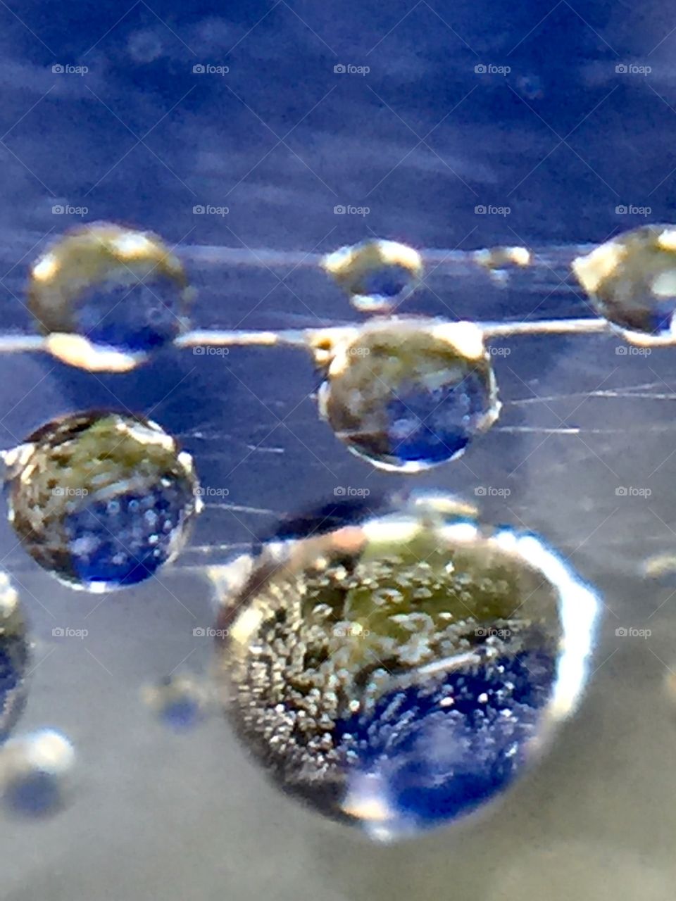 Close-up of water drop