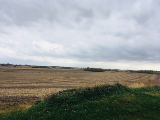 Landscape, No Person, Agriculture, Cropland, Farm