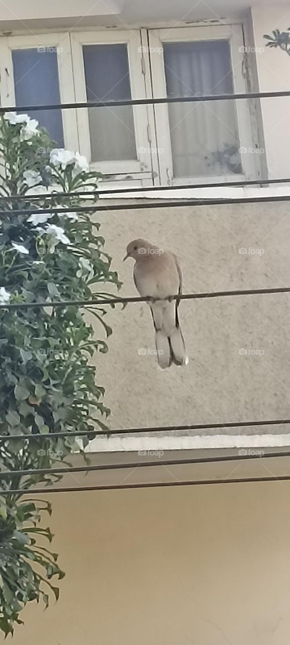 I am more powerful than you think about me.