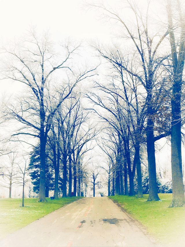 Nature is beauty 