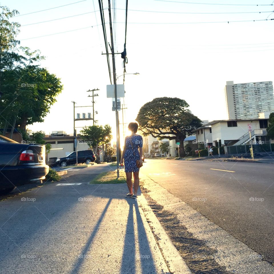 Sunset on the street. Street of Honolulu Hawaii magic hour 