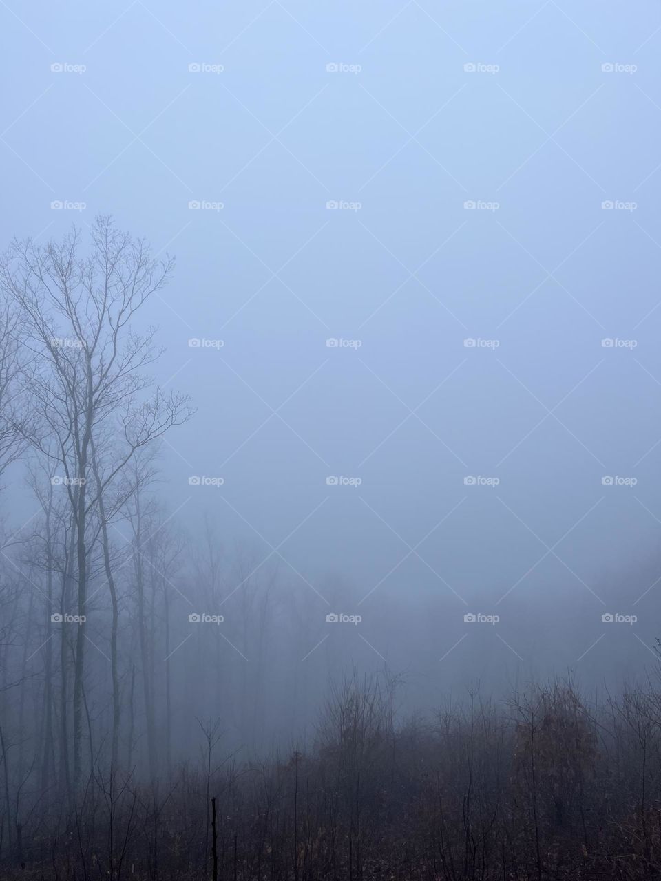 Erie view of the mountains 