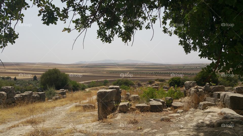 Volubilis