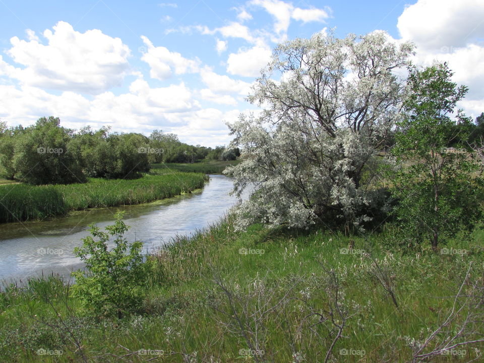 Spring creek at Moose Jaw Saskatchewan 