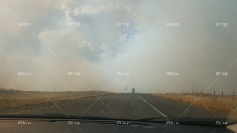 Fog on the highway