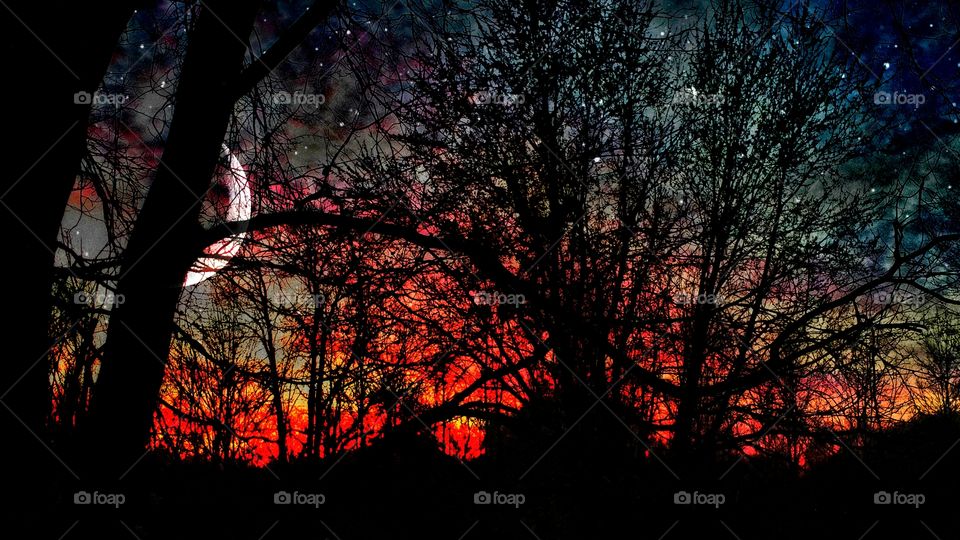 Winter is coming.. I took this photo and added the moon and stars when editing