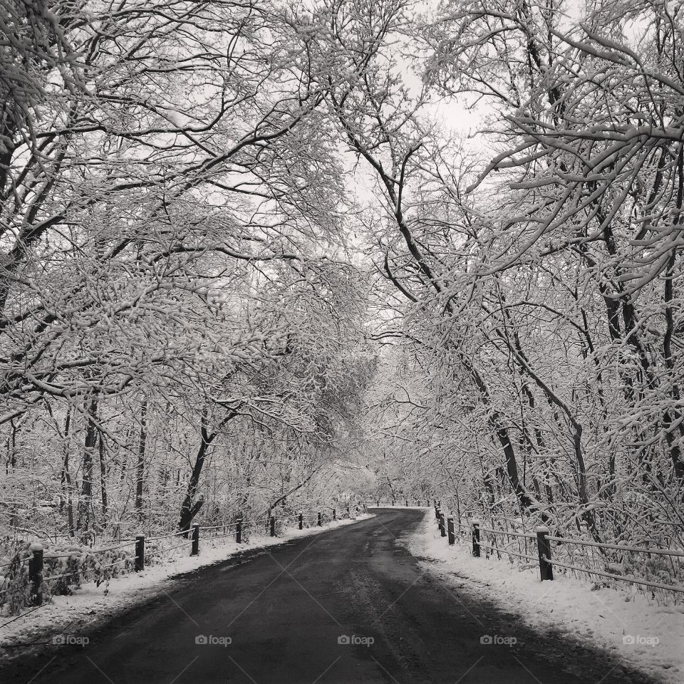 Winter drive 