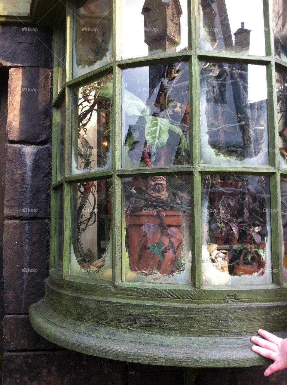 Harry Potter world