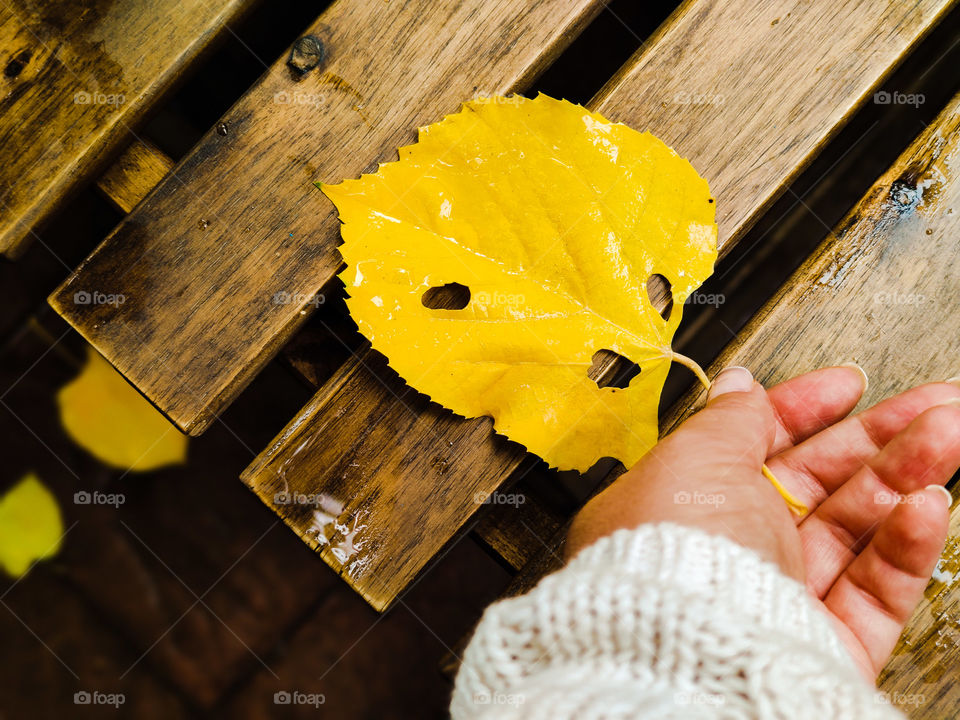 Rainy autumn