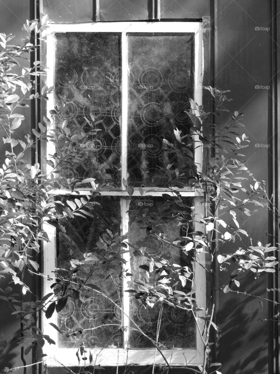 BW Window