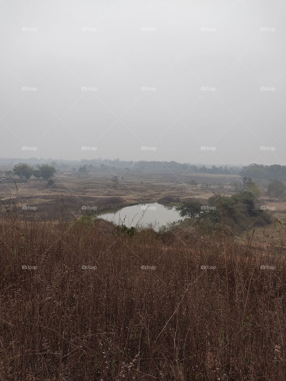 beautiful pond View from the top of the hill.