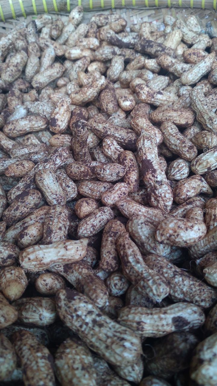 Peanuts being dried in the sun for cooking purposes