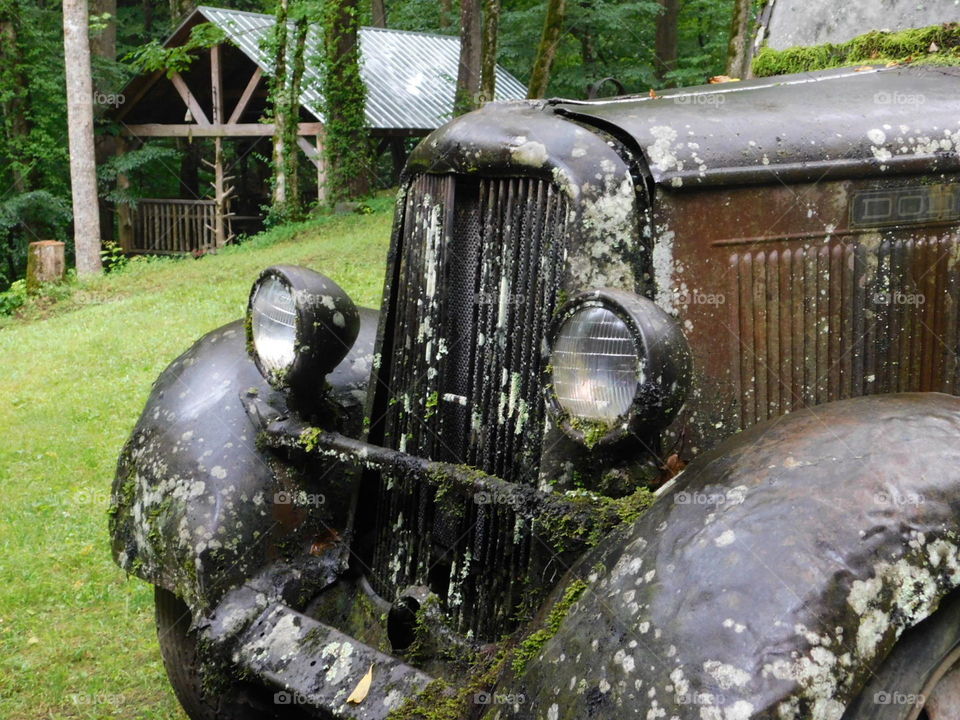 rustic overgrown truck with headlights