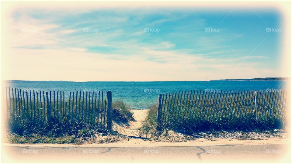 Cape Cod. Cape Cod looking out at Martha's Vineyard