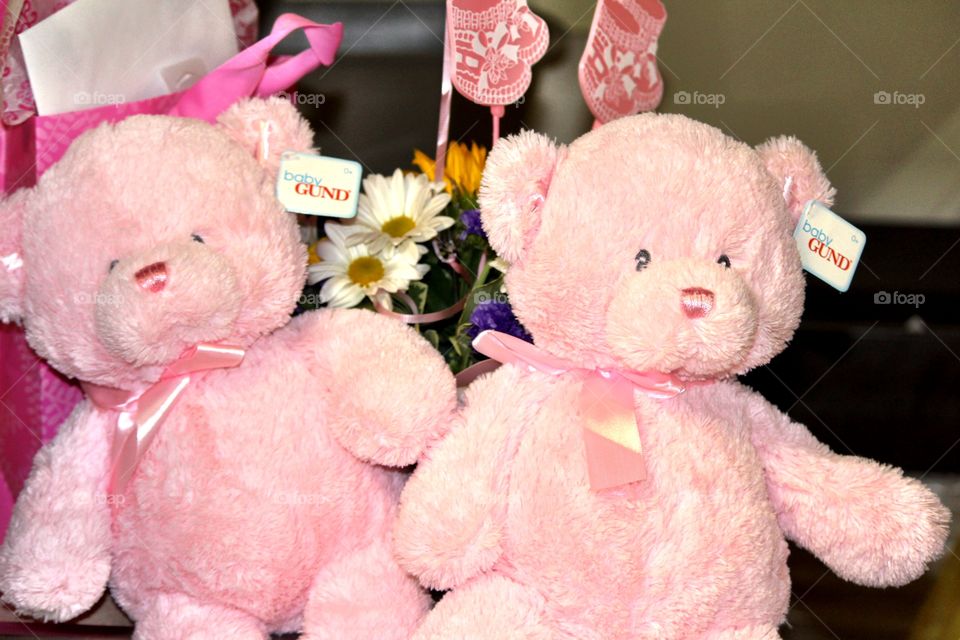 Twin Pink Teddies