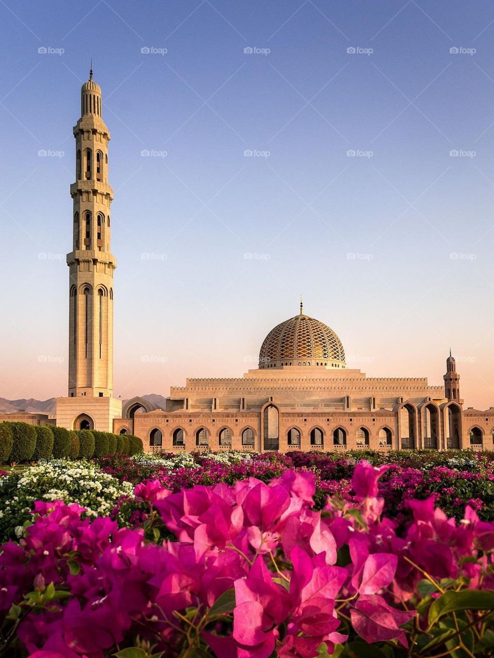 Sultan Qaboos Mosque - Oman