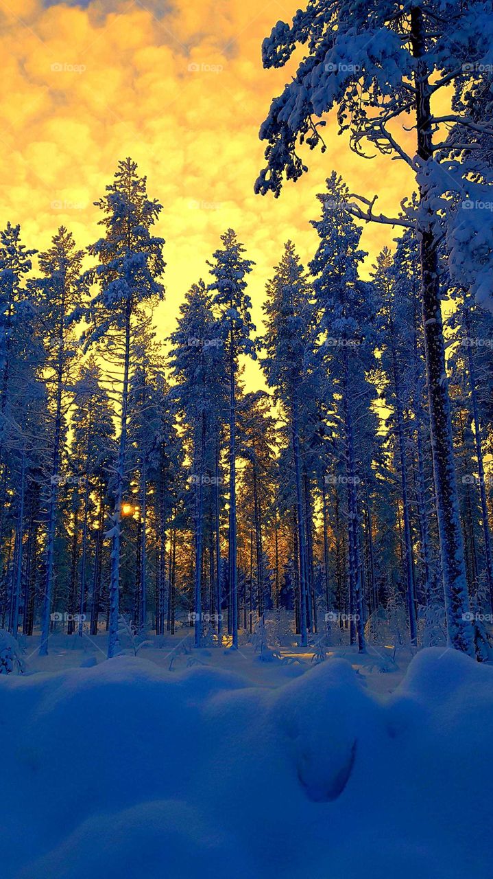 Beautiful day in winterland