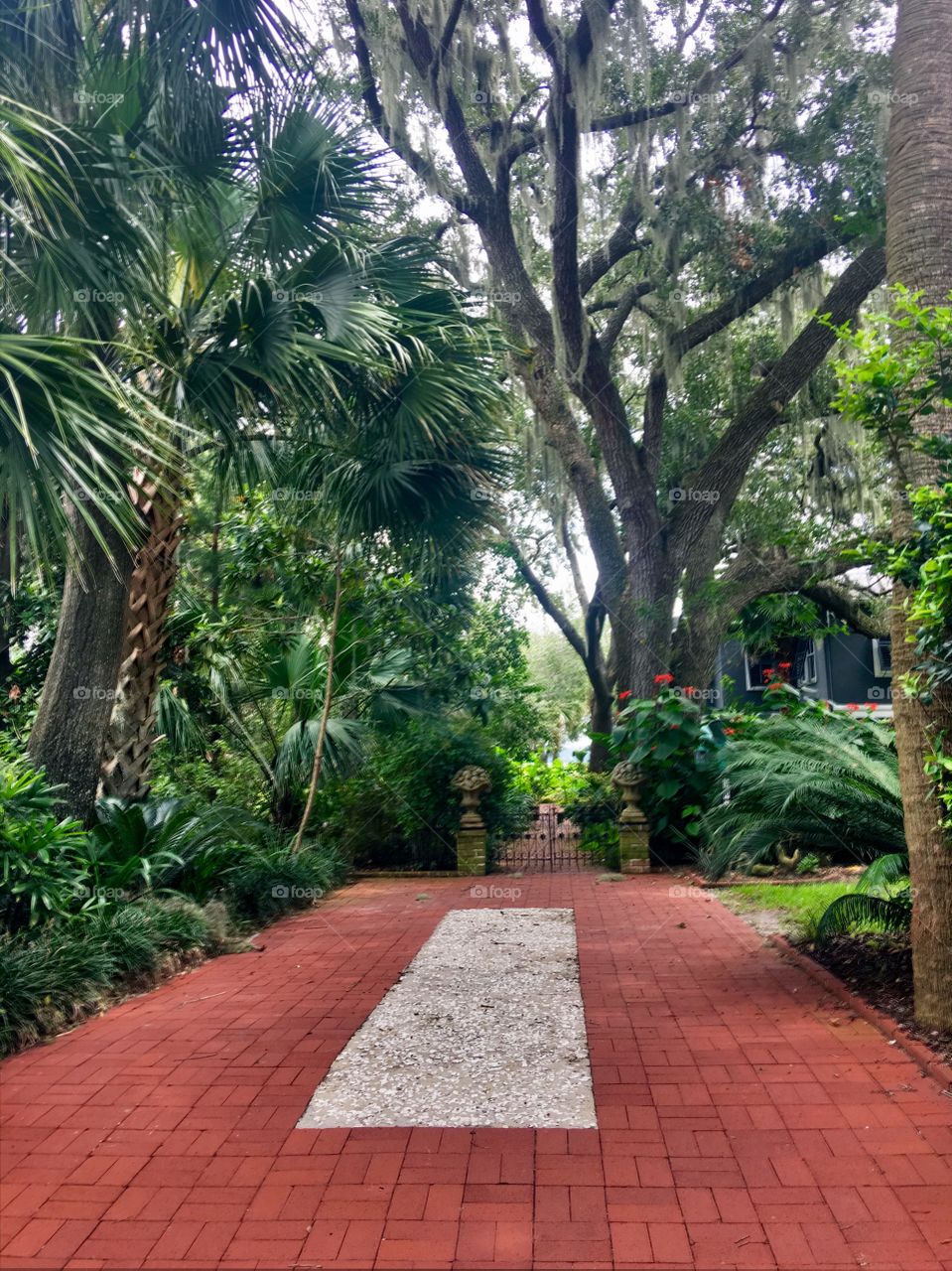 Beaufort South Carolina Country Road 