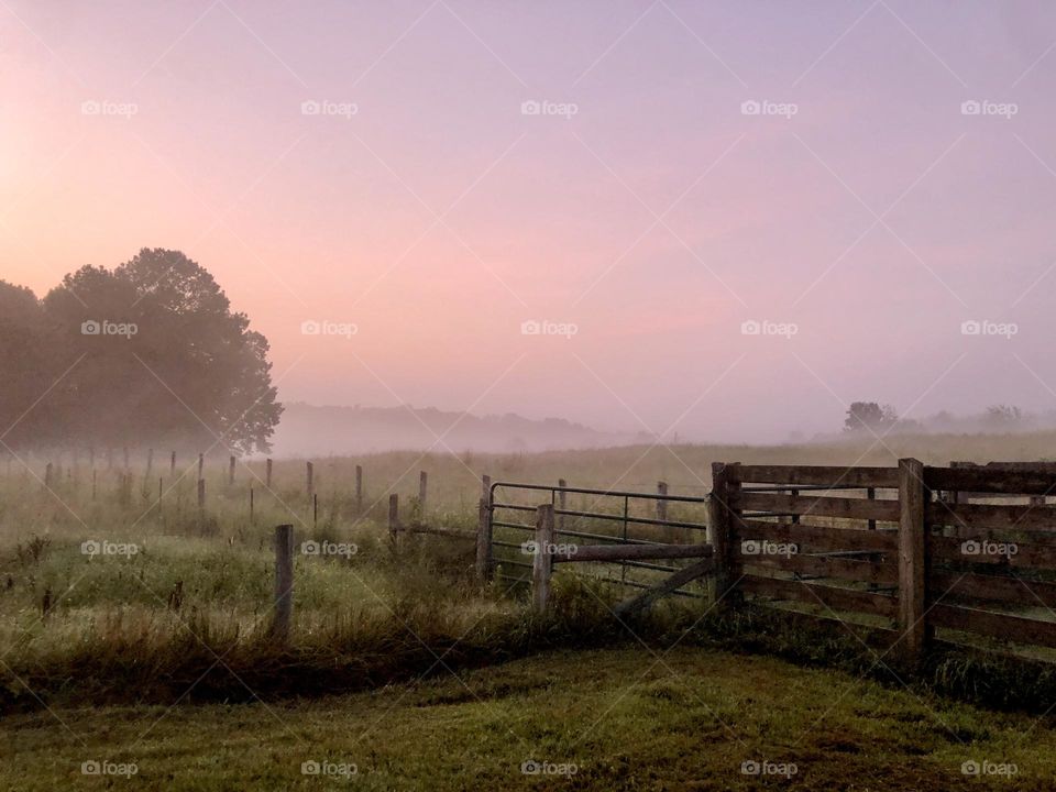 Misty dawn over pasture and paddocks