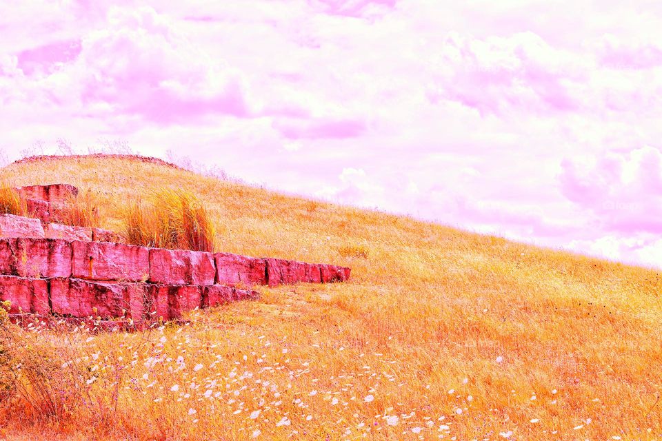 Landscape with hills, grass and sky in pink colors