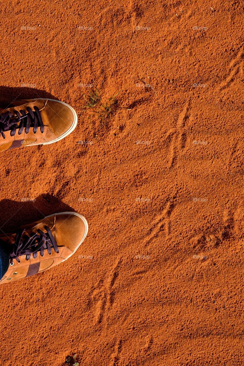 Hiking in the Arizona Desert with bird tracks