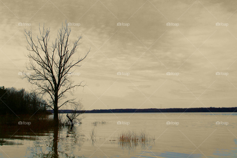 Alone on the Lake (Series)
