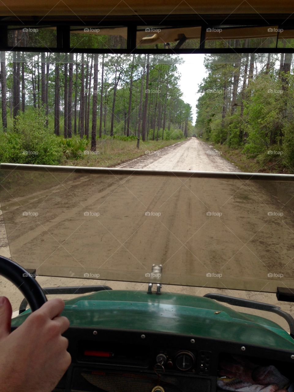 Driving in National Forest areas near Hosford, Florida