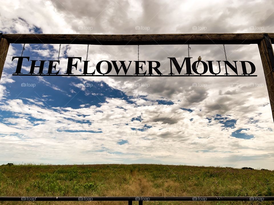 The actual Flower Mound, for which Flower Mound Texas is named after.  A section of protected land covered in Texas wild flowers and local birds found only on this hill, one of which is perched on top of the O in Mound, a white split tail.  