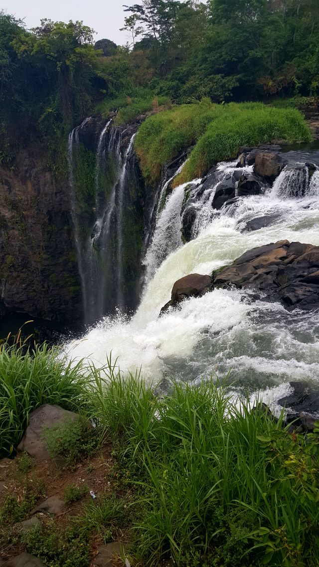 falls where aztic jump off in the  move Apocalypto