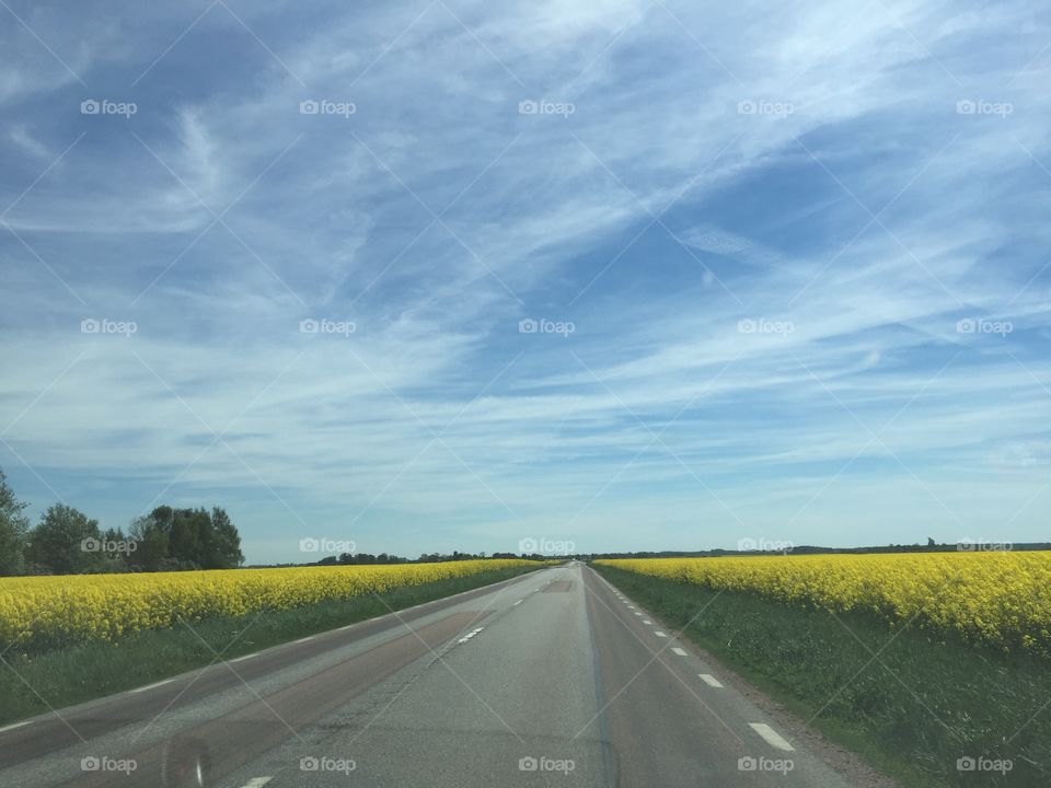Road in sweden