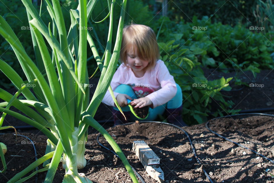 toddler gardening