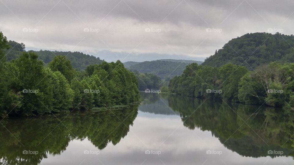 Reflection of woodland on water