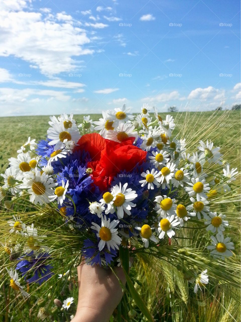 Colorful bouquet of field flowers