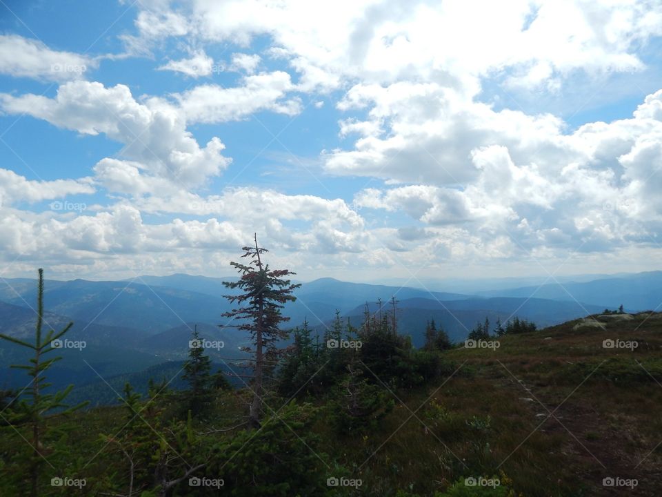 The beauty of nature