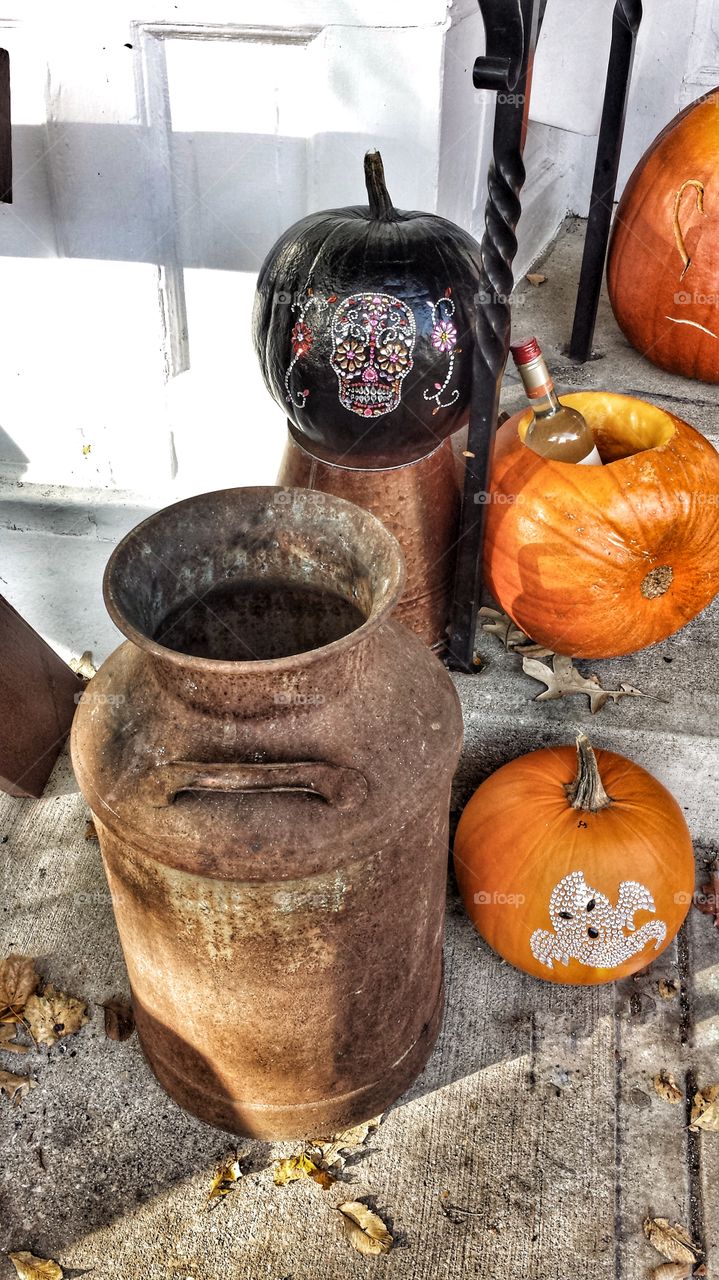 Pumpkins on Display