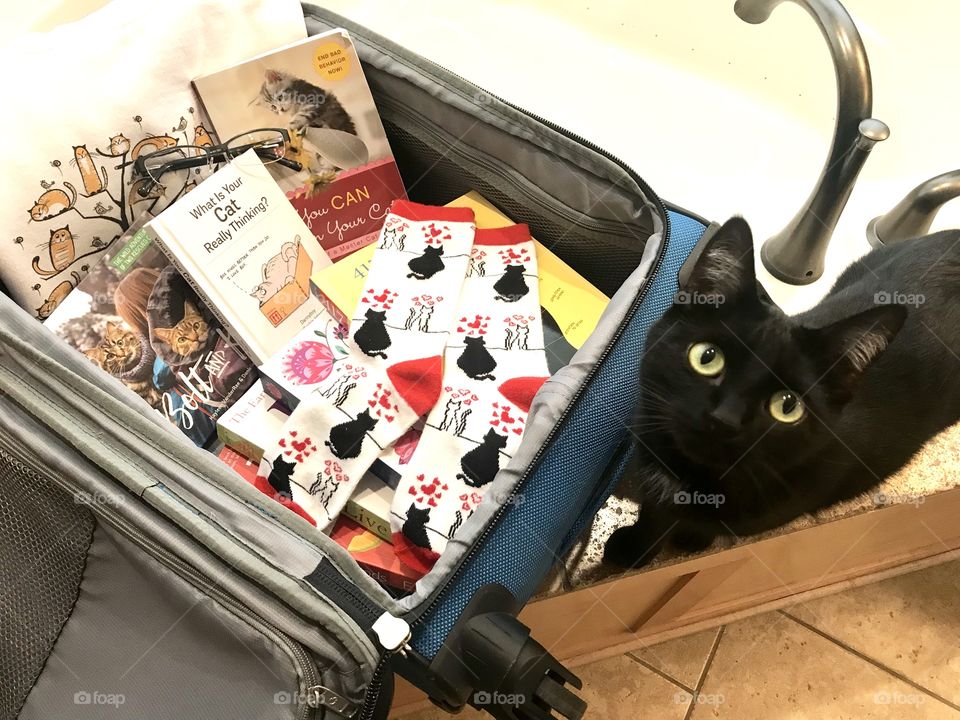 Let’s get ready to travel with best feel good cat reads, reading glasses, and favorite cozy kitty sweatshirt and socks for reading! 