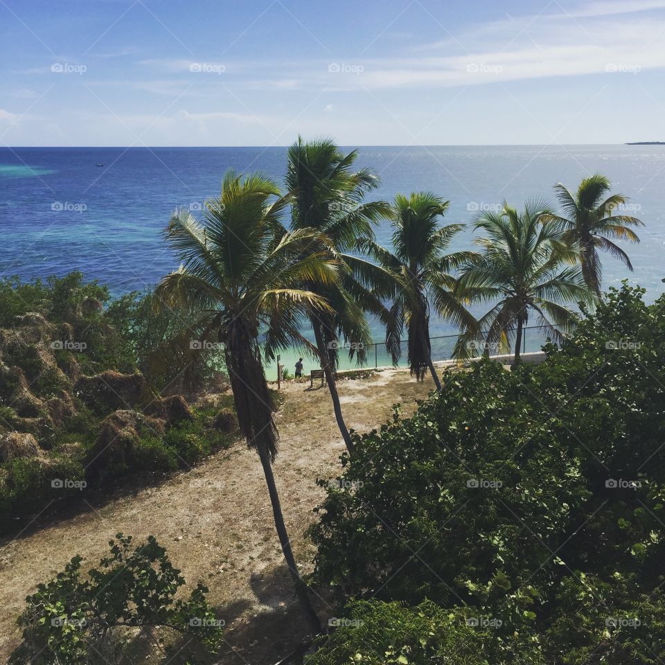 High angle view of beach